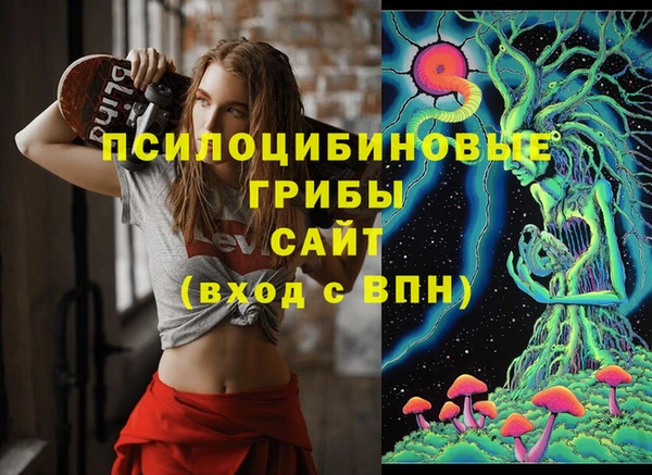 первитин Алексеевка