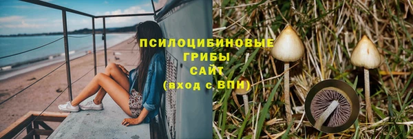 первитин Алексеевка