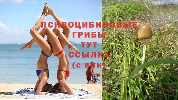 эйфоретик Алексин