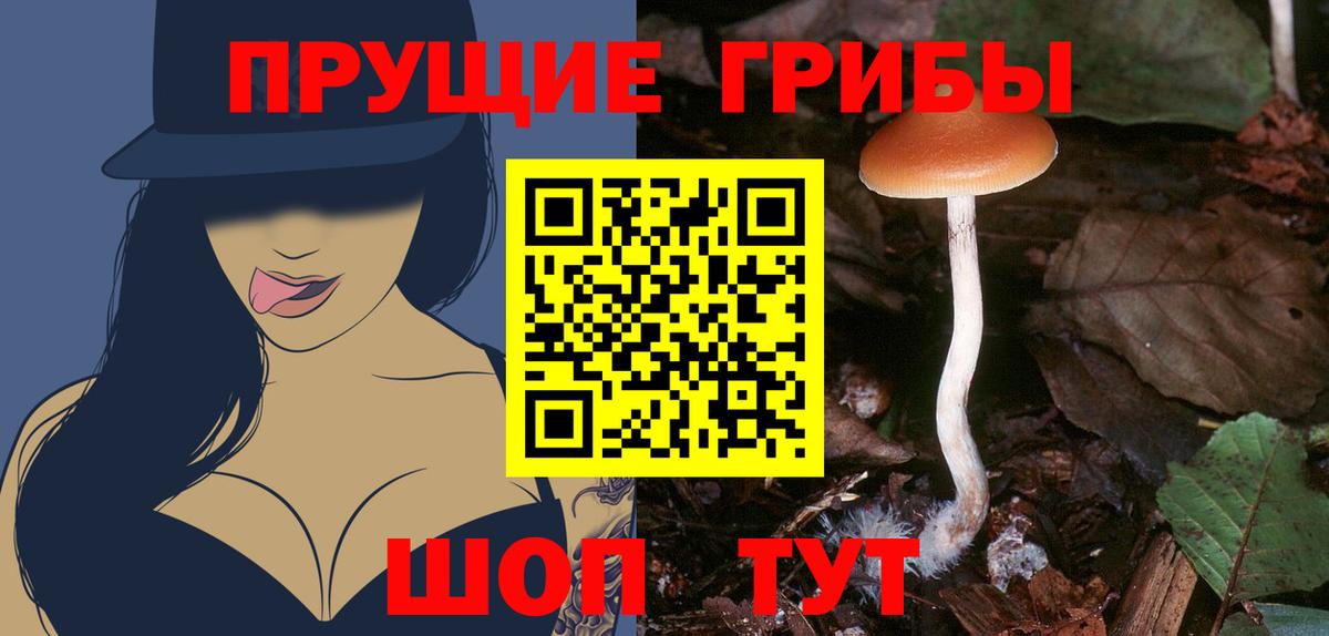 Галлюциногенные грибы GOLDEN TEACHER  Вход с VPN  Усолье-Сибирское  Галлюциногенные грибы ЛСД 