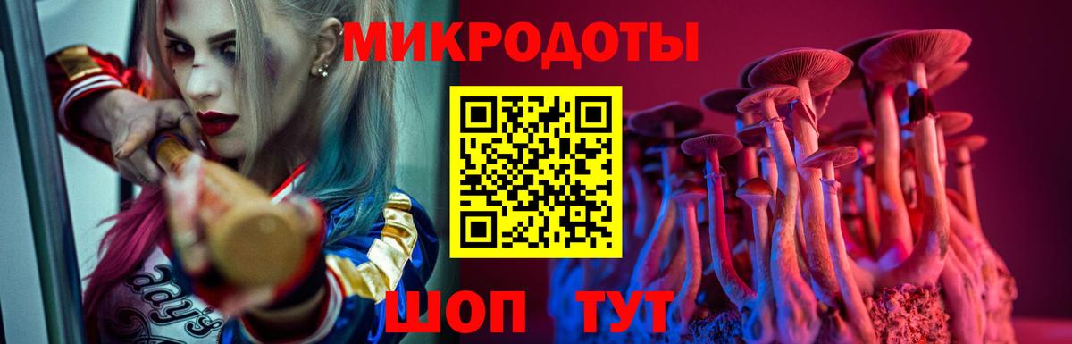 Псилоцибиновые грибы Psilocybe Усолье-Сибирское